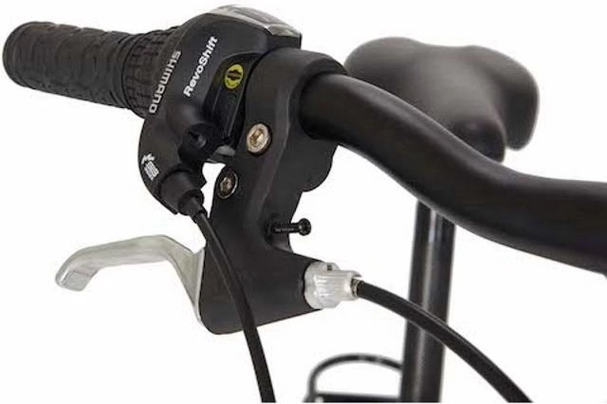 Wheelerz.nl Vouwfiets 20 Inch - 6 Speed Shimano - Zilver - Afbeelding 2